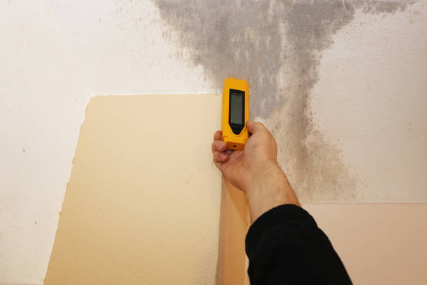 Best Mold Removal for HVAC Installations  in Wheatland, CA