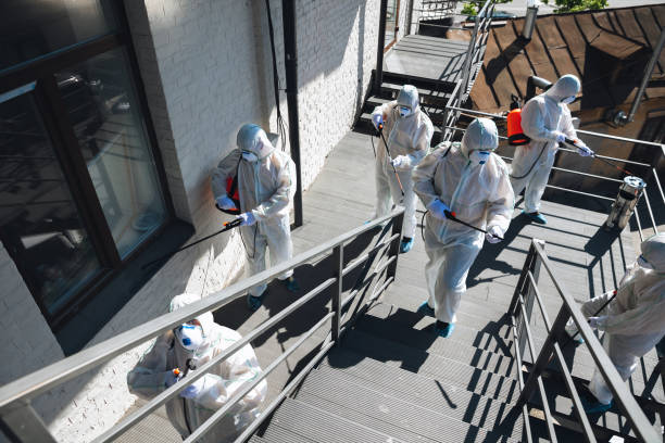 Asbestos and Lead Testing During Mold Inspection in Wheatland, CA