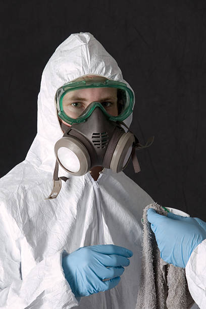 Reliable Wheatland, CA Mold Removal Solutions